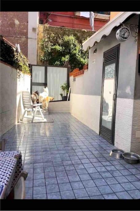 Napoli Centro Casa Con Due Camere E Cucina ภายนอก รูปภาพ
